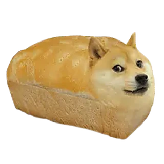 bread doge