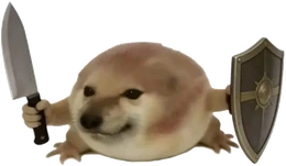 knight doge