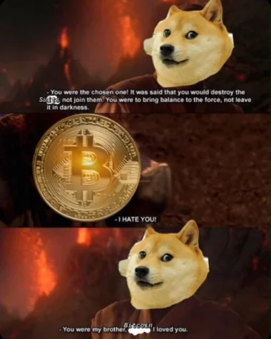 Doge and Bitcoin — the chosen one
